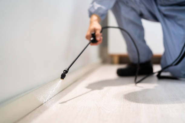 Licensed Mosquito Control service in Sumner, IL - Nex Pest Control