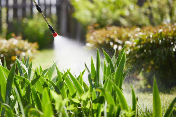 24/7 Emergency Mosquito Control experts in Sumner, IL