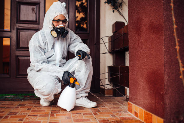 Reliable Mosquito Control contractor in Sumner, IL by Nex Pest Control