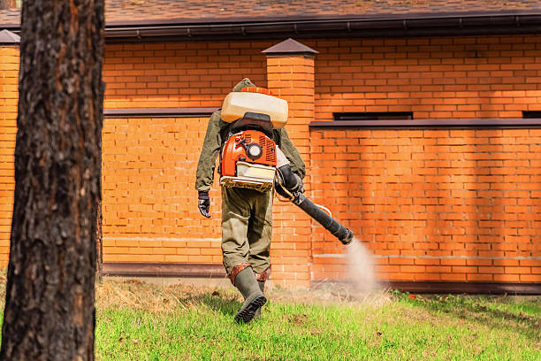 Top rated local Mosquito Control specialists in Sumner, IL